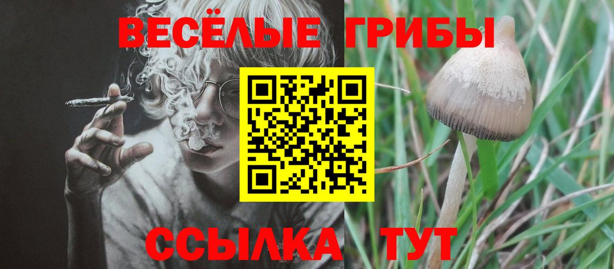 Псилоцибиновые грибы ЛСД Кумертау
